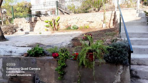 einen Garten mit Blumen und Pflanzen an der Wand in der Unterkunft LUSANYUN in Villa Carlos Paz