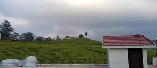 een uitzicht op een groene heuvel met een huis bij Tea Estate view stay in Ooty