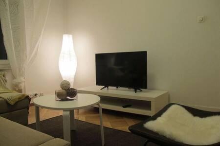 TV tai viihdekeskus majoituspaikassa Zurich Furnished Apartments