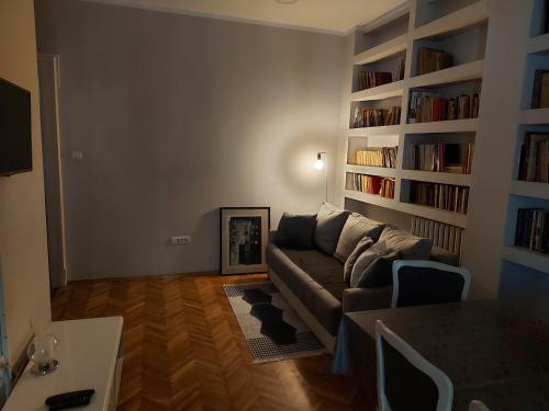 uma sala de estar com um sofá e prateleiras de livros em Downtown apartment in walk zone with 3 bedrooms and garage em Novi Sad