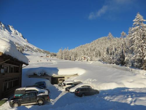 um grupo de carros estacionados numa garagem coberta de neve em Gästehaus Gschwandtner em Mühlbach am Hochkönig