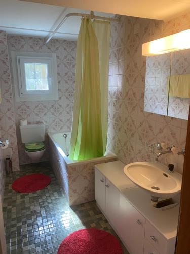 baño con cortina de ducha verde y lavamanos en Ferienwohnung Allalinblick, en Saas-Fee