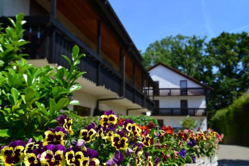 Kebun di luar Hotel am Buchwald