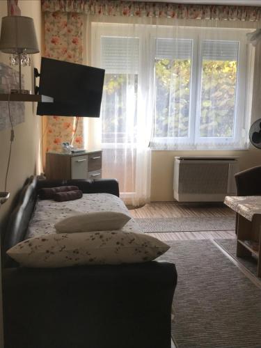 Televizors / izklaižu centrs naktsmītnē Melinda Apartman