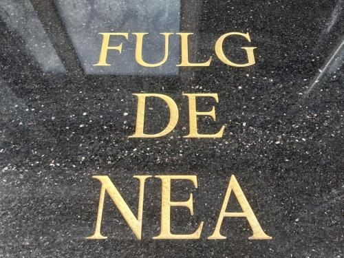 Bilde i galleriet til FULG De NEA i Sinaia