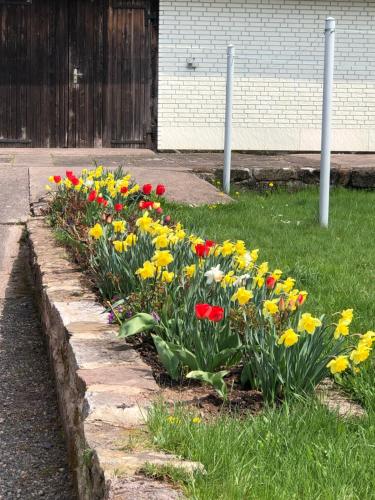 Jardí fora de Casa „Ella“