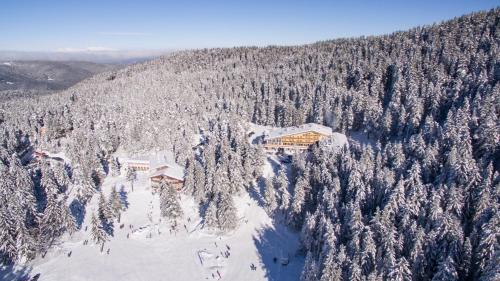 una vista aerea di un rifugio da sci in una foresta innevata di Hotel Alpinist, Malyovitsa a Govedartsi