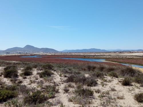 une rivière dans le désert avec des montagnes en arrière-plan dans l'établissement Cabañas ecológicas Tongoy, à Tongoy