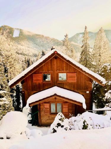 シュタインハウス・アム・ゼンメリングにあるBlockhaus Semmeringの屋根に雪が積もった丸太キャビン