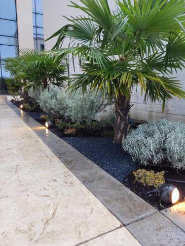 una palmera en un jardín junto a un edificio en XIO Apartments, en Bar