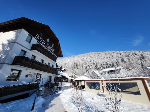 Hotel Tarvisio Four Seasons talvella