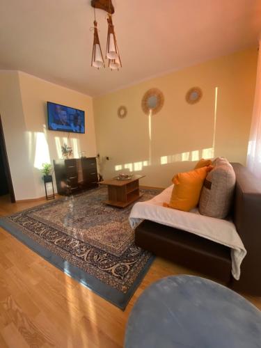 a living room with a couch and a tv at Apartament Terra II in Floreşti