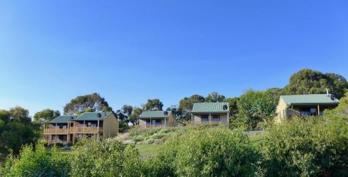 Une rangée de maisons sur une colline avec des arbres dans l'établissement Daysy Hill Country Cottages, à Port Campbell