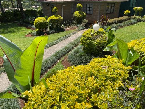 einen Garten mit gelben Blumen und einem Haus in der Unterkunft Zoe Homes 1br and 2br Cottage own compound -Kericho town near Green Square mall in Kericho