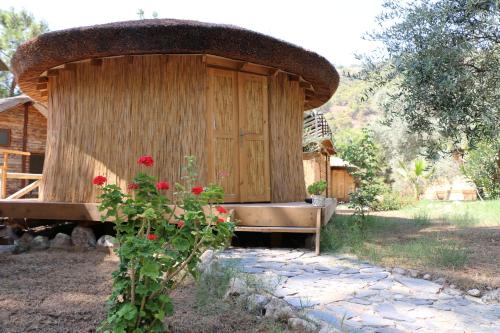 A garden outside Chakra Beach Kabak