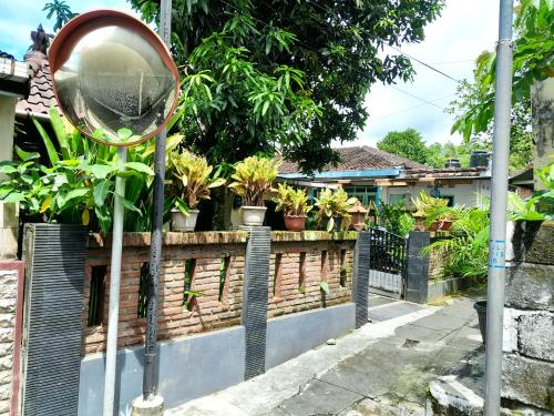 A garden outside Ngampilan Backpacker Hostel