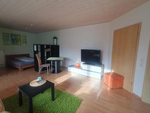 Televizors / izklaižu centrs naktsmītnē Apartment/Ferienwohnung im ruhigen Calden in der nähe von Kassel