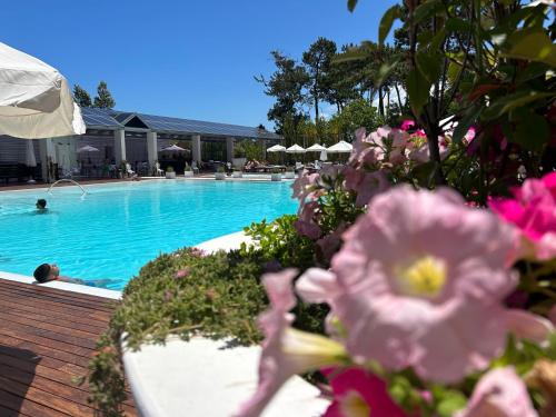 una piscina con flores rosas en el primer plano en Yoo Punta del Este - Rental Club Apartments, en Punta del Este