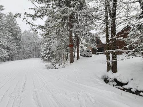 una strada innevata con alberi e una casa di Ski in/out Spruce Glen Townhomes on Great Eastern Trail a Killington