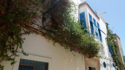 El Patio Courtyard House في تونس: مبنى ابيض يوجد عليه نباتات