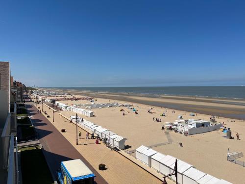 En strand vid eller i närheten av lägenheten