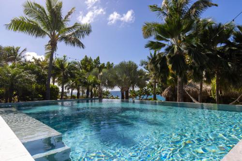 een zwembad met palmbomen en de oceaan op de achtergrond bij Hotel Le Toiny in Gustavia