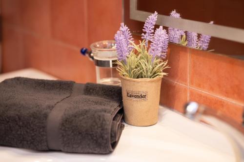 une plante en pot sur un lavabo de salle de bains avec une serviette. dans l'établissement Fobillo Apartment at Charilaou, à Thessalonique