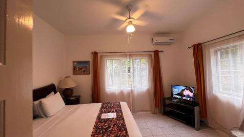 een slaapkamer met een bed, een tv en een raam bij All Nations Guest House in Port Antonio