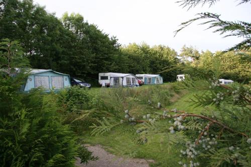 un grupo de tiendas estacionadas en un campo en First Camp Aarhus - Jylland, en Aarhus