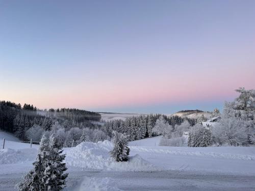 Berghotel Lenneplätze Winterberg semasa musim sejuk