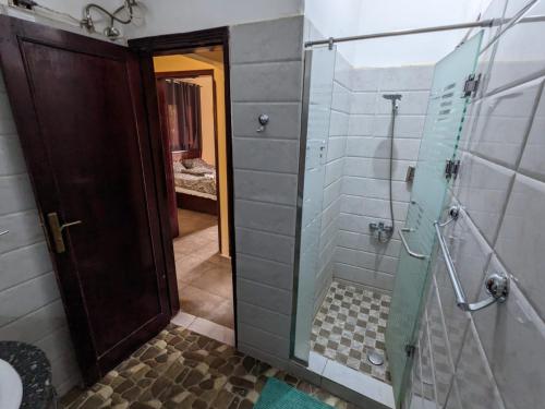 La salle de bains est pourvue d'une douche avec une porte en verre. dans l'établissement Nile Panorama Hotel, à Louxor