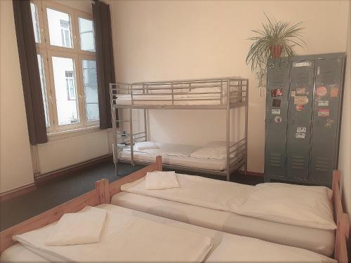 Cette chambre comprend 2 lits superposés et une fenêtre. dans l'établissement Die Fabrik - Hostel, à Berlin