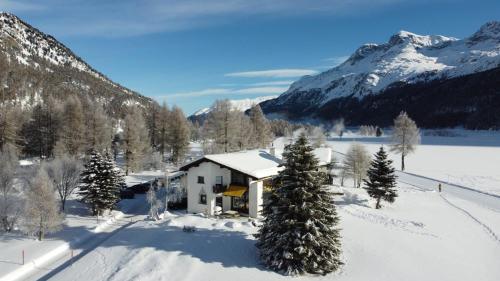 ein Haus im Schnee mit Bäumen und Bergen in der Unterkunft Chesa Suot Ovas in Sils Maria