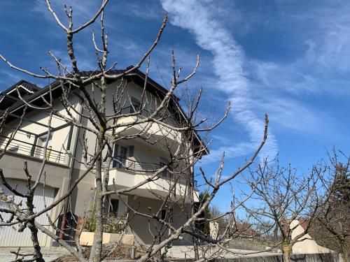 Afbeelding uit fotogalerij van Appartement detox au pied du semnoz in Seynod