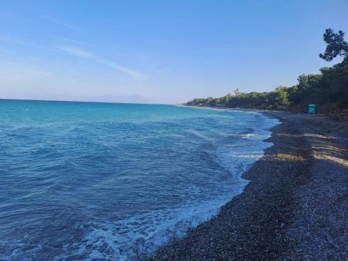 クシロカストロにあるEvita Blueの海岸の水と木々のビーチ