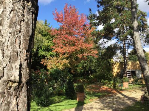 Un jardín fuera de appartement fond de jardin 1 étage