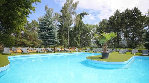 - une piscine bordée de chaises et d'un palmier dans l'établissement Ensana Splendid, à Piešťany