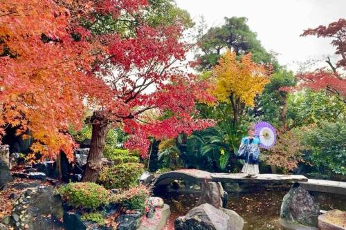 横滨日本庭園古民家　飯田屋　Traditional experience iidayajapan的池塘中央有雕像的花园