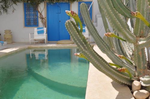 Swimming pool sa o malapit sa Dar Bibine