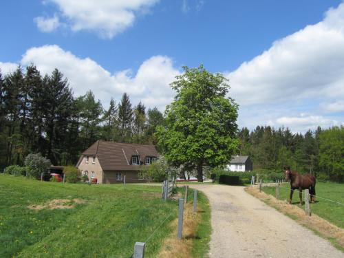 un cavallo in piedi in un campo vicino a una strada di Ferienwohnung Holt a Husum