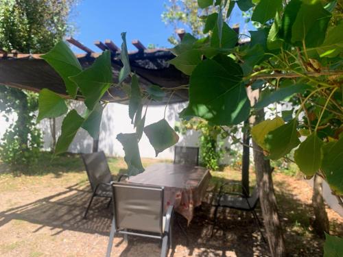 une table et des chaises sous un arbre dans une cour dans l'établissement Atlantic 10, à Atlántida