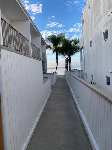 a walkway between two buildings with a palm tree at Bay Beach Bungalow in San Diego