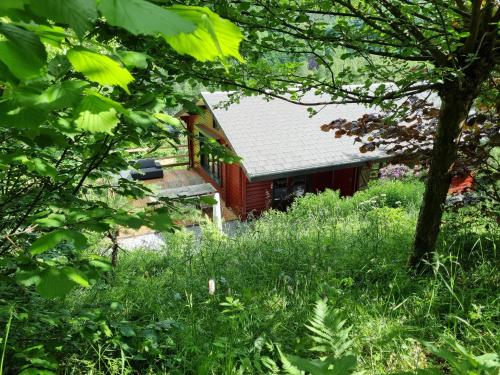 A garden outside Chalet Coo