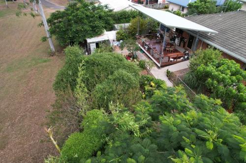 Maryborough's Rainforest Retreat