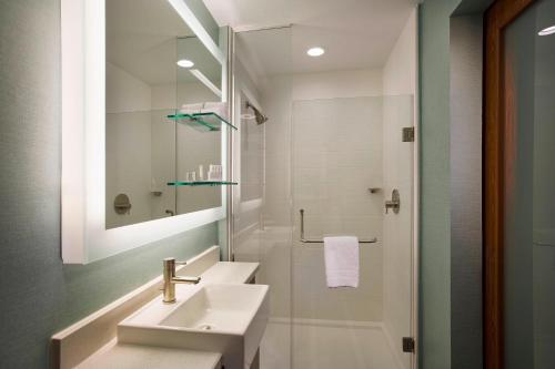 Bilik mandi di SpringHill Suites by Marriott Houston Downtown/Convention Center