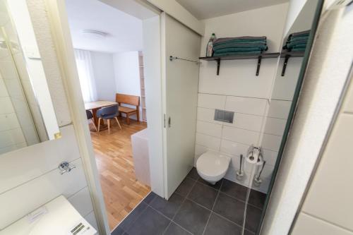 Elle comprend une petite salle de bains pourvue de toilettes. dans l'établissement Studio CHic, à Niederweningen