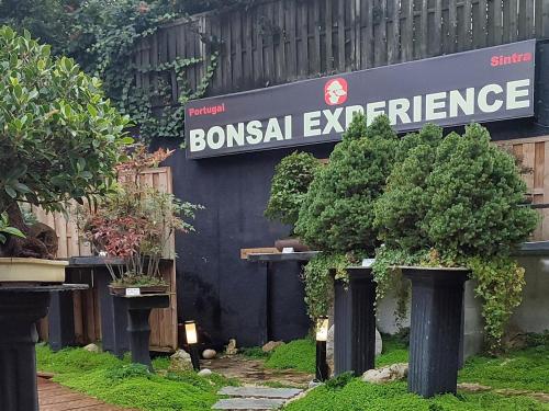 Gambar di galeri bagi Zen Guest House - Museu do Bonsai di Sintra