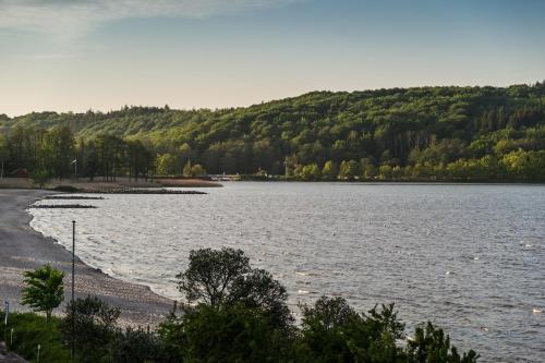 duży zbiornik wody z drzewami w tle w obiekcie Hotel Wassersleben w mieście Flensburg