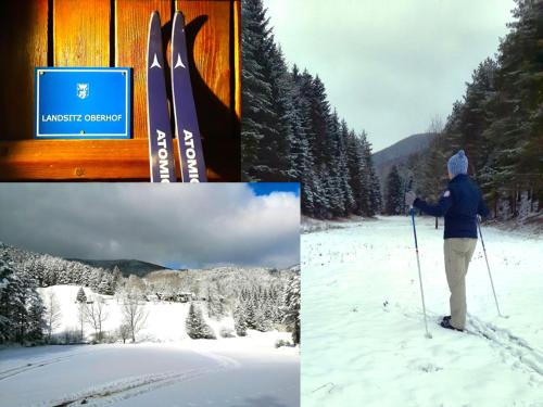 uma pessoa está de pé em esquis na neve em LANDSITZ OBERHOF petit hôtel em Muggendorf