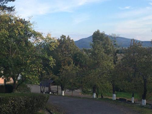 Naturlandskabet i nærheden af hotellet